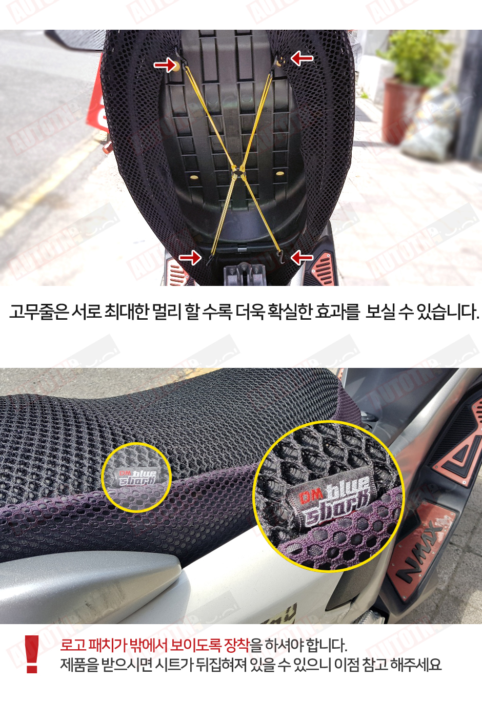 블루샤크 2.jpg