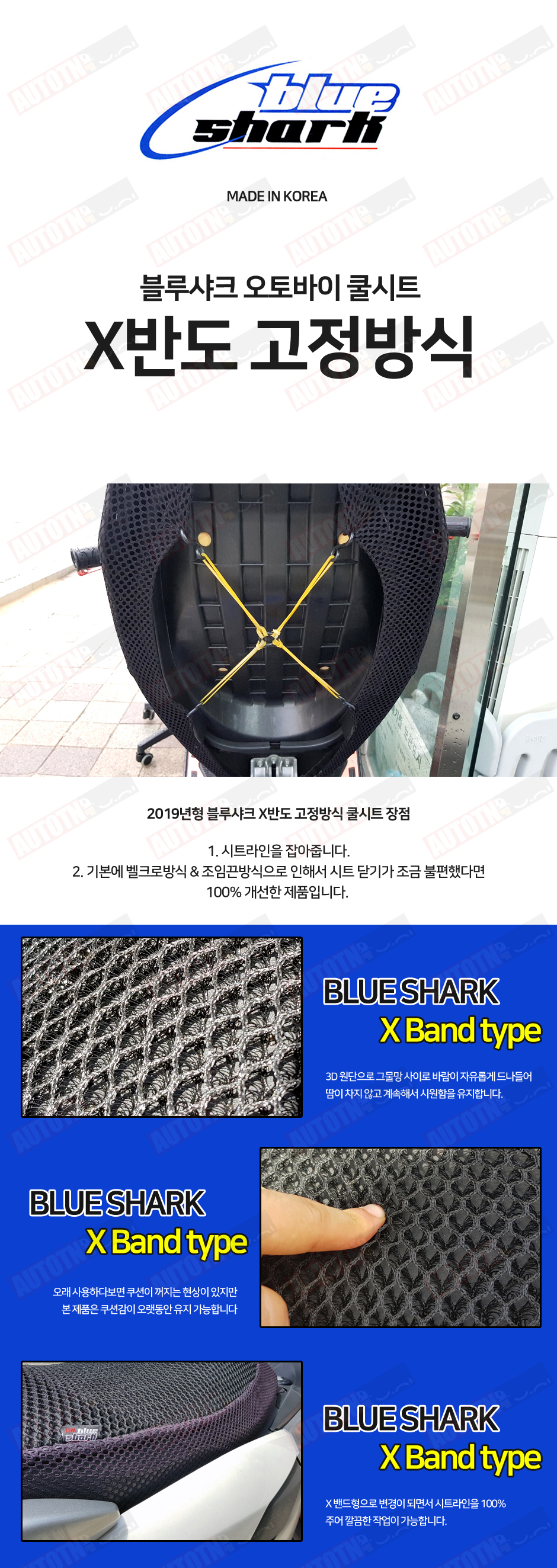 블루샤크 1.jpg