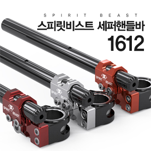 스피릿비스트 세퍼핸들바 161213 300.JPG