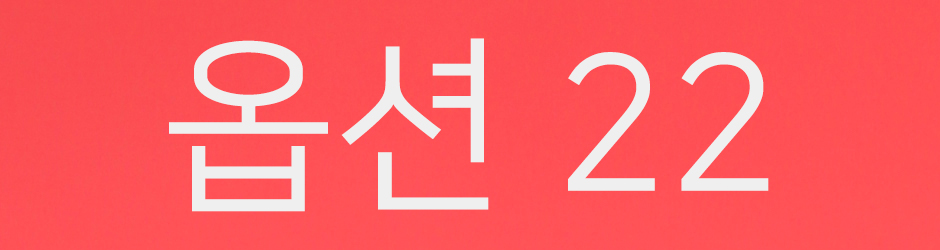 옵션-22.jpg