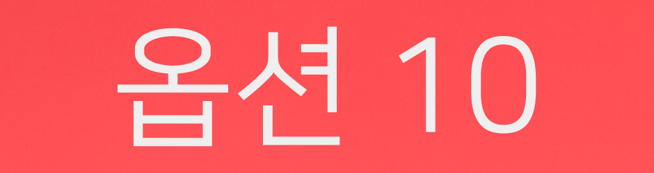 옵션-10.jpg