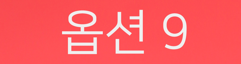 옵션-9.jpg