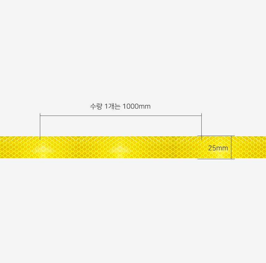 노라.jpg