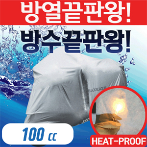 100 300.jpg