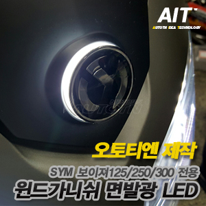 보이져 엠블럼 면발광 led 300.jpg