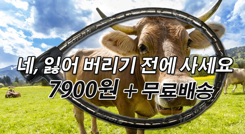 e575.gif